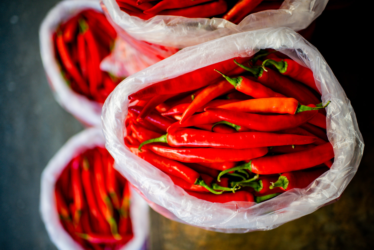 » Eye 4 Photography Documentary travel photography