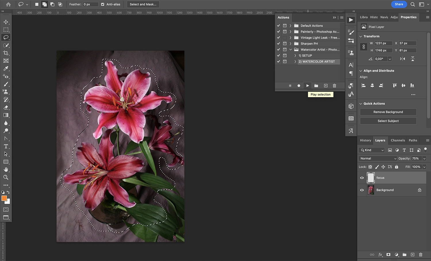 » Eye 4 Photography How to create a watercolor effect in Photoshop