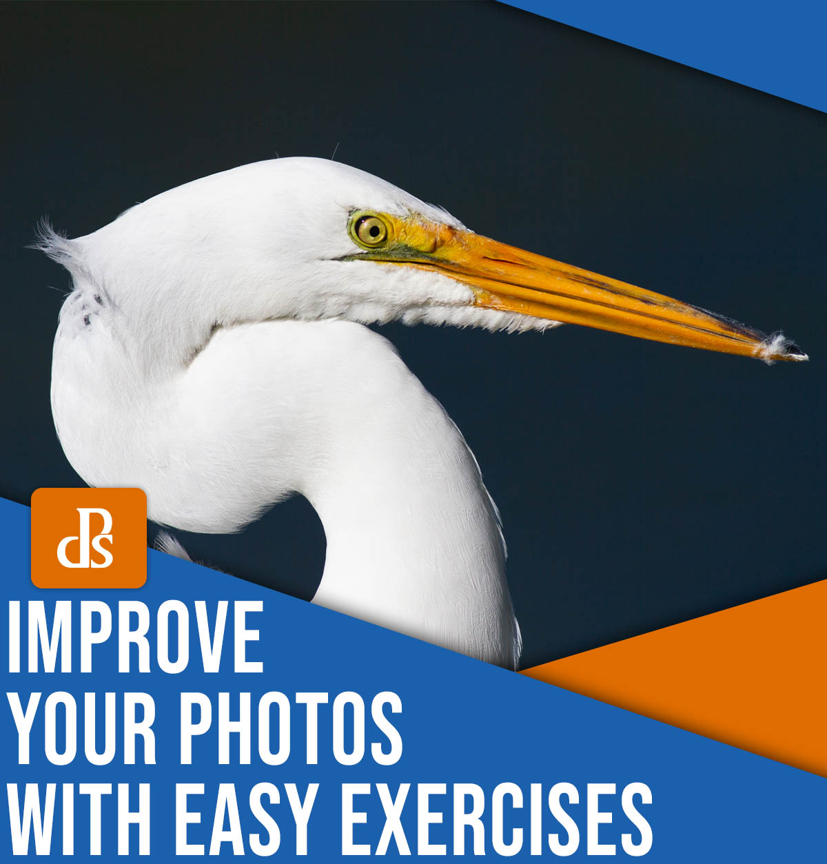 Improve your photos with easy exercises