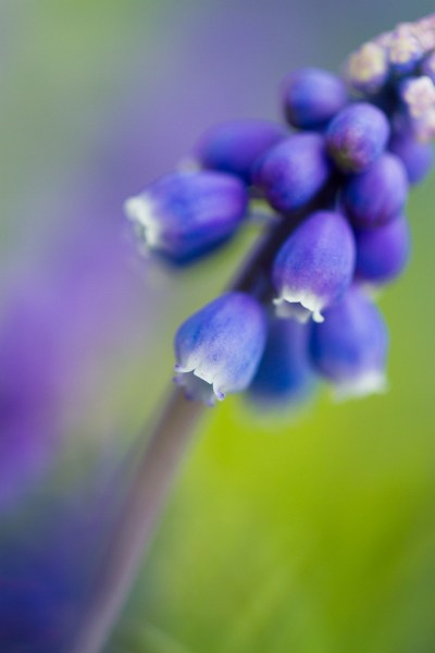 Photography exercises