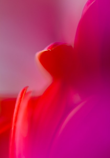 Photography exercises