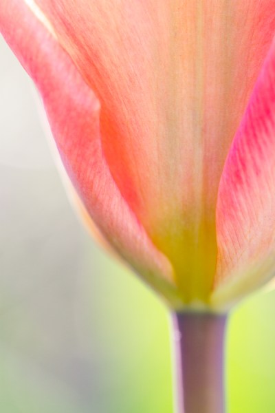 Photography exercises