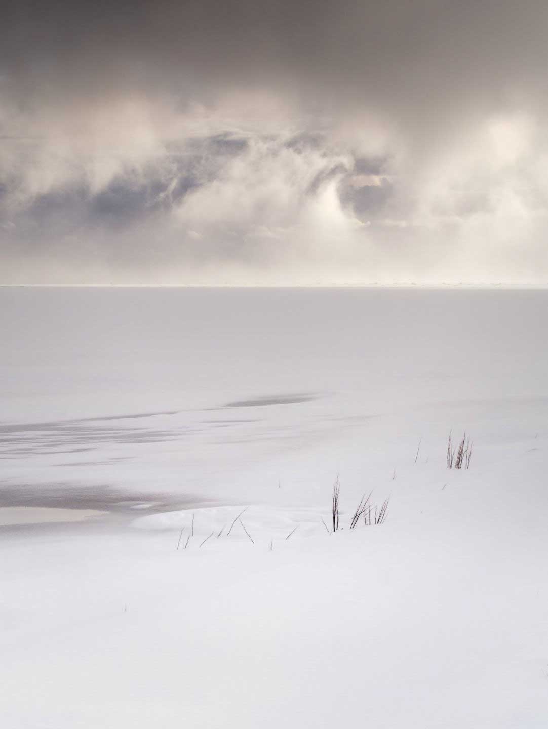 » Eye 4 Photography CJPOTY round 1 winners - winter loon scene