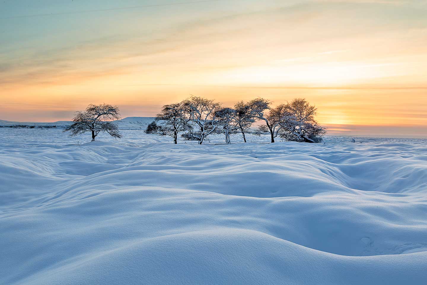 » Eye 4 Photography CJPOTY round 1 winners - snow scene with trees
