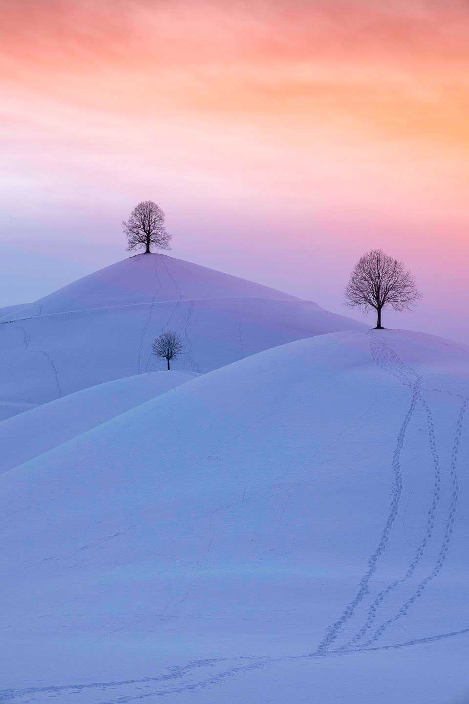 » Eye 4 Photography CJPOTY round 1 winners - snowy hills with 3 trees