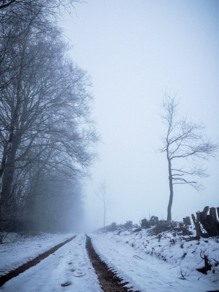 » Eye 4 Photography low angle photography tips