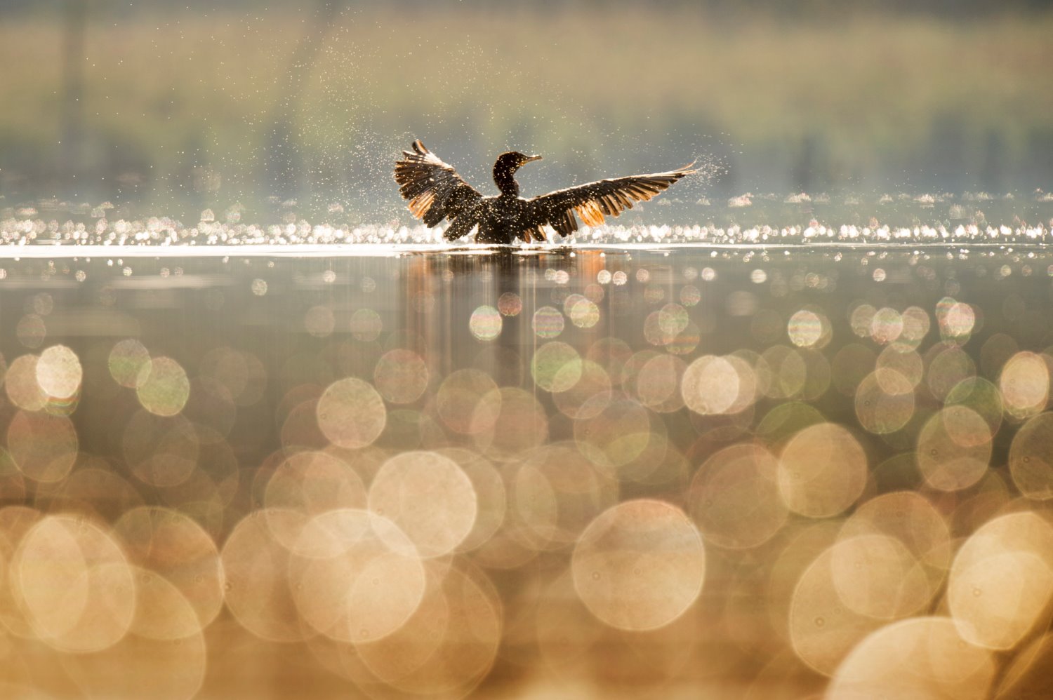 » Eye 4 Photography low angle photography tips
