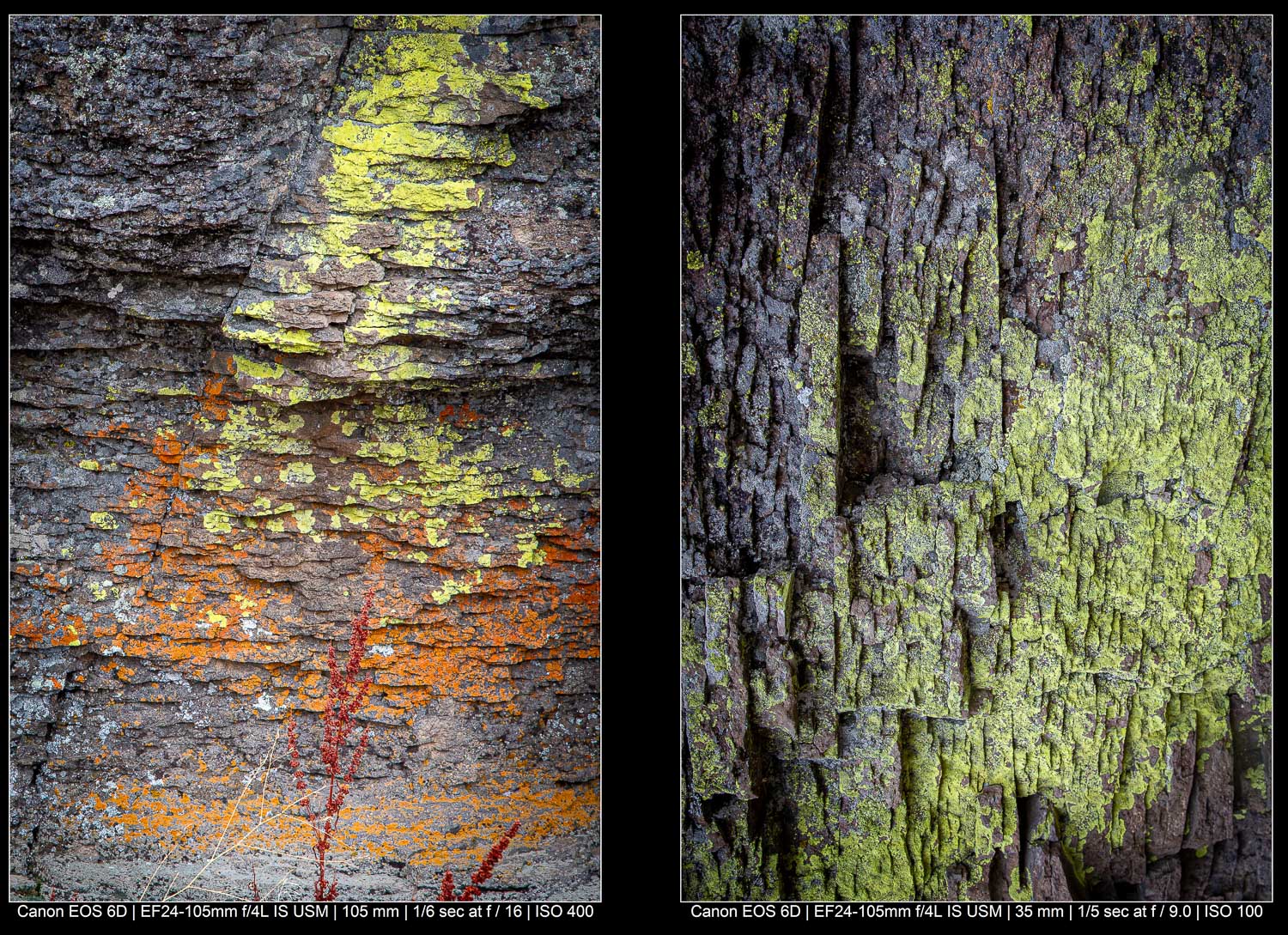 Abstract Landscape Photography - Look for the details