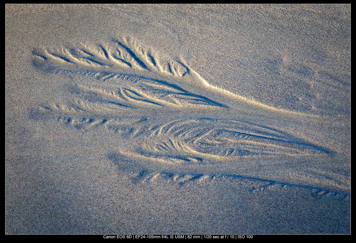 beach pattern