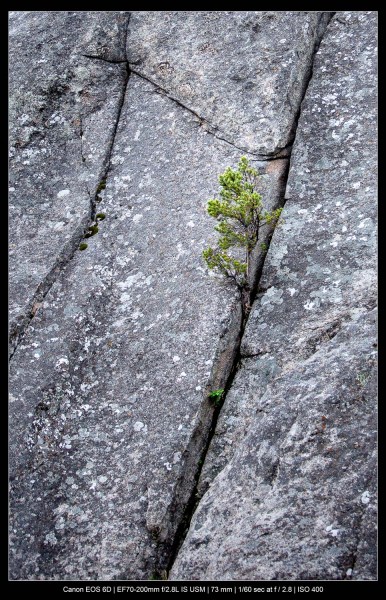 abstract landscape photography