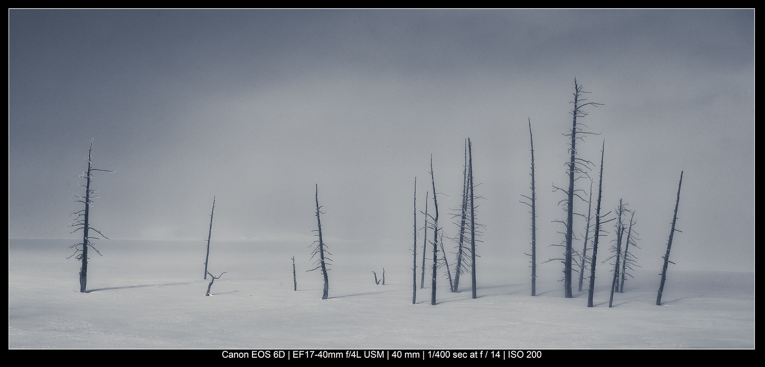 Yellowstone snowstorm