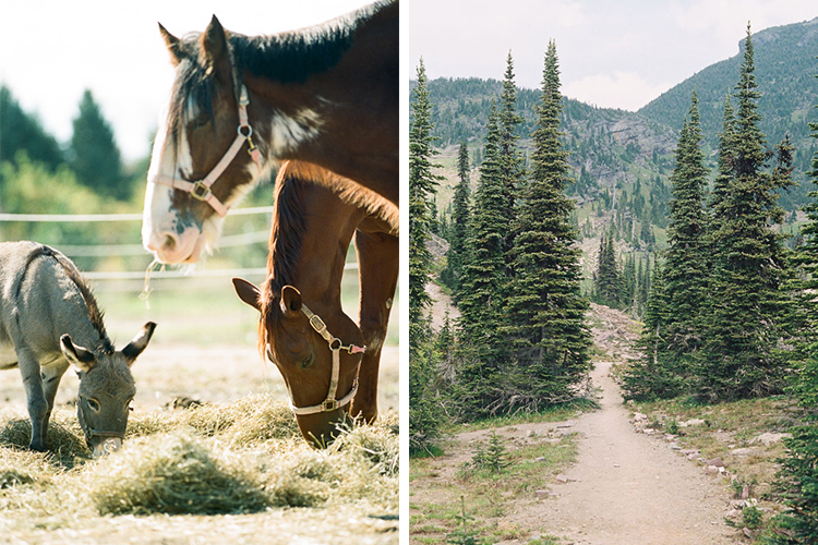 » Eye 4 Photography Find photography inspiration