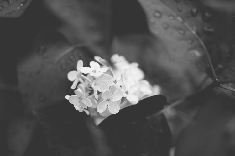 » Eye 4 Photography Find photography inspiration