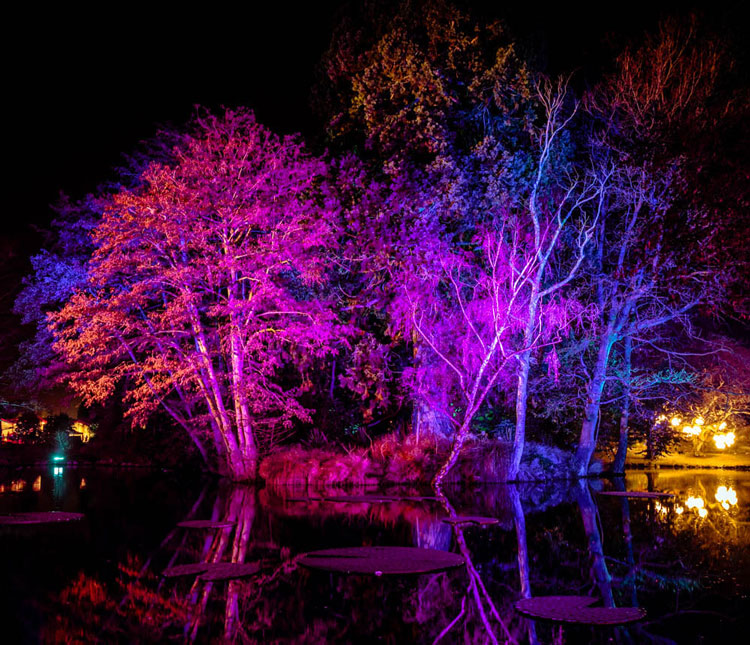 » Eye 4 Photography colorful lights in the park at night remote shutter release