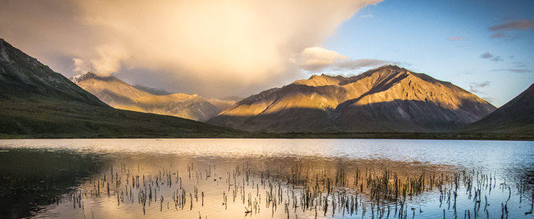 » Eye 4 Photography Cull Your Photos Carefully - 5 Steps to Follow Before You Hit Delete