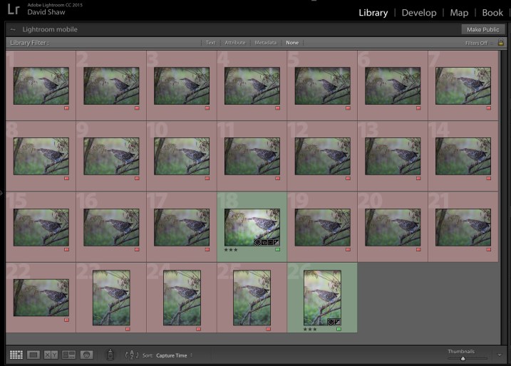 » Eye 4 Photography Cull Your Photos Carefully - 5 Steps to Follow Before You Hit Delete