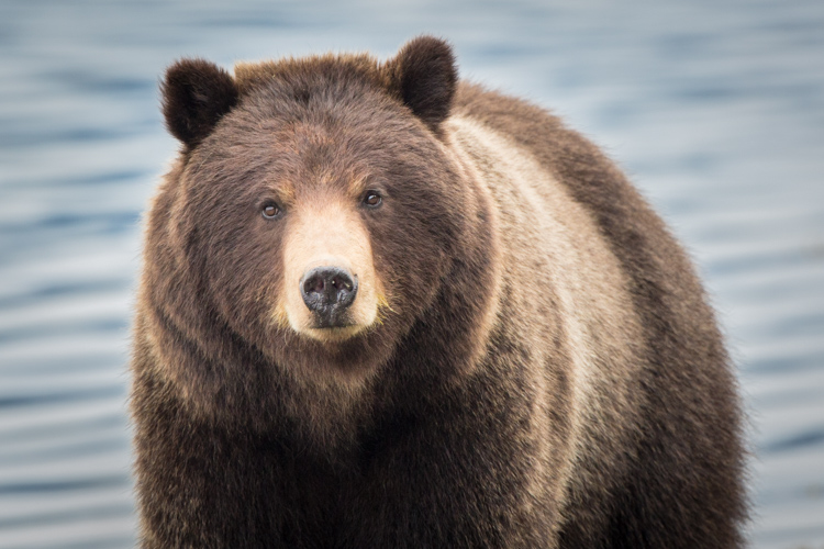 » Eye 4 Photography Cull Your Photos Carefully - 5 Steps to Follow Before You Hit Delete