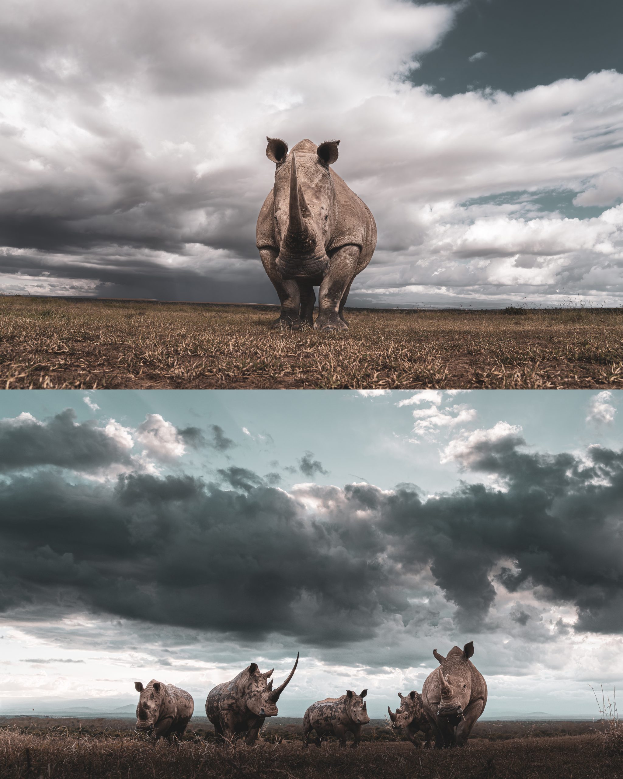 » Eye 4 Photography