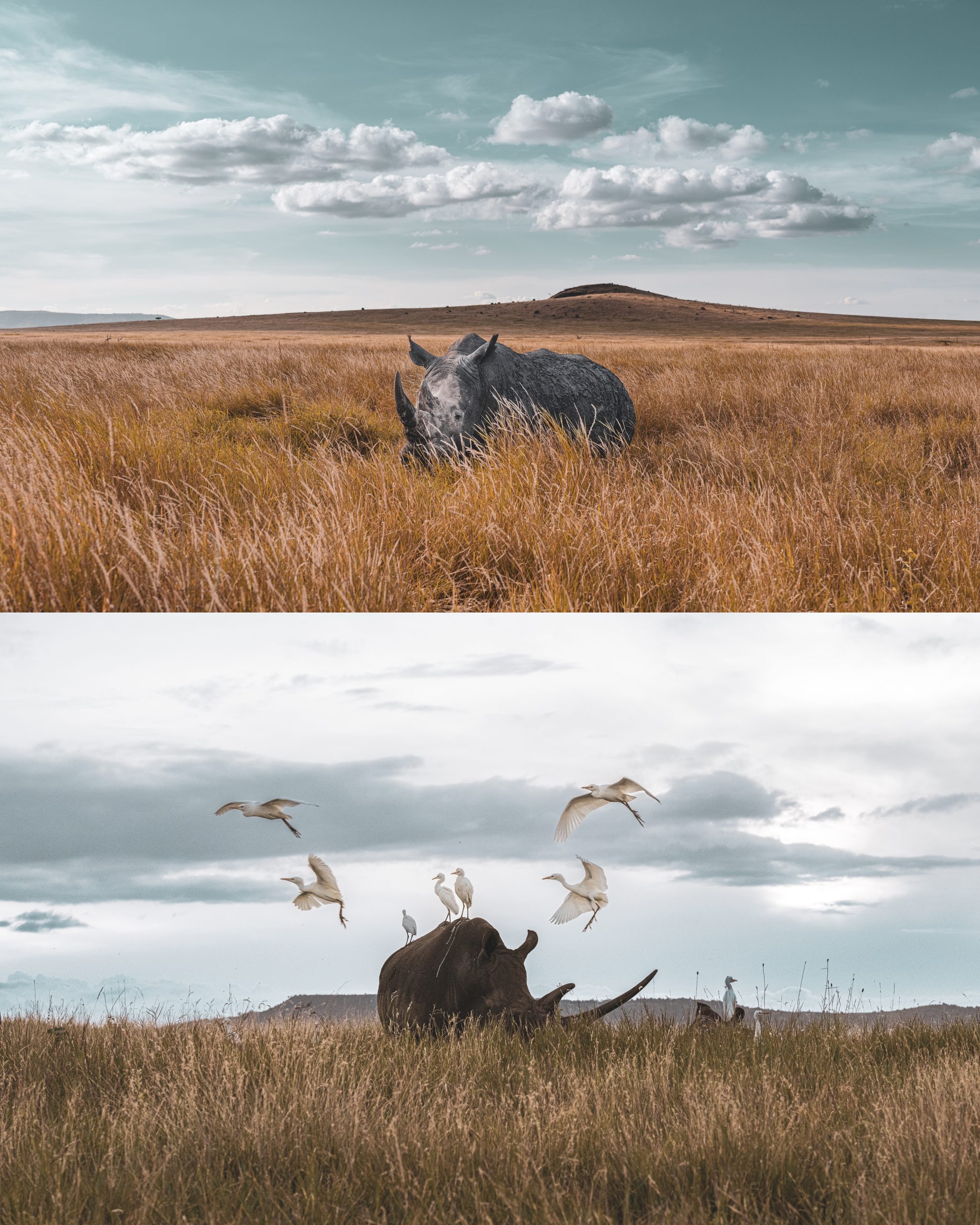 » Eye 4 Photography
