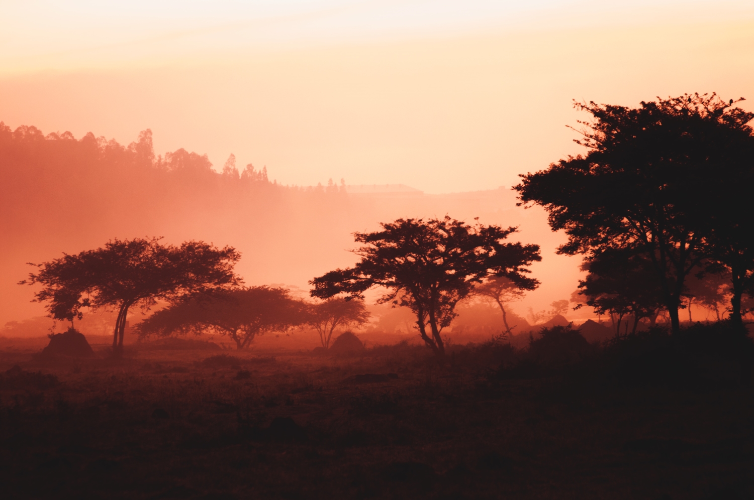 » Eye 4 Photography Sunrise photography