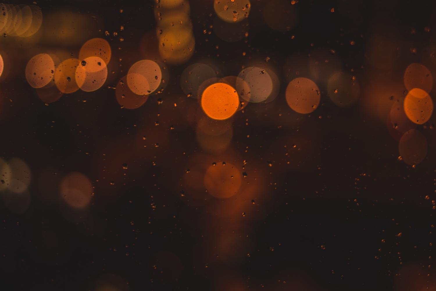 » Eye 4 Photography Manual focus in photography