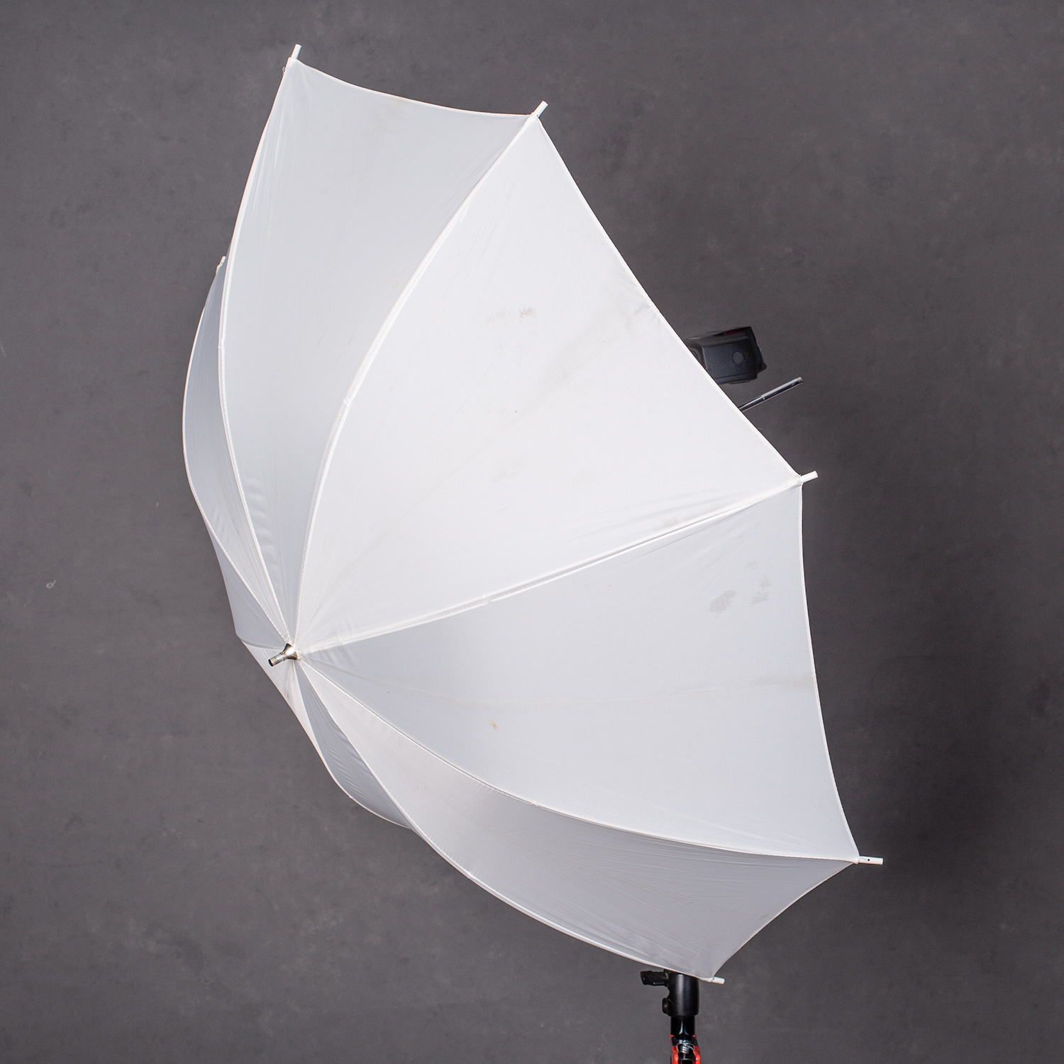 » Eye 4 Photography umbrella on a stand