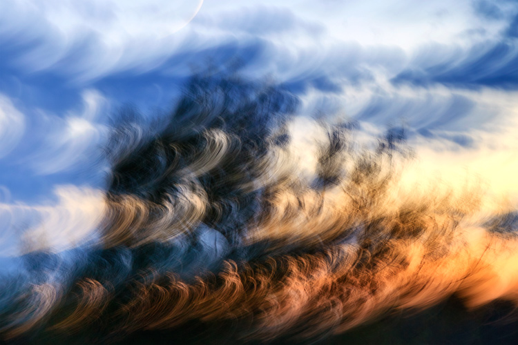 ICMwarehamtreesunset750.jpg » Eye 4 Photography tree at sunset ICM