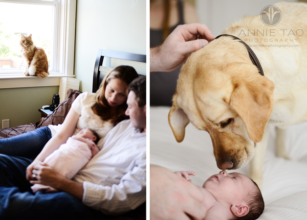 » Eye 4 Photography Newborn lifestyle photography tips