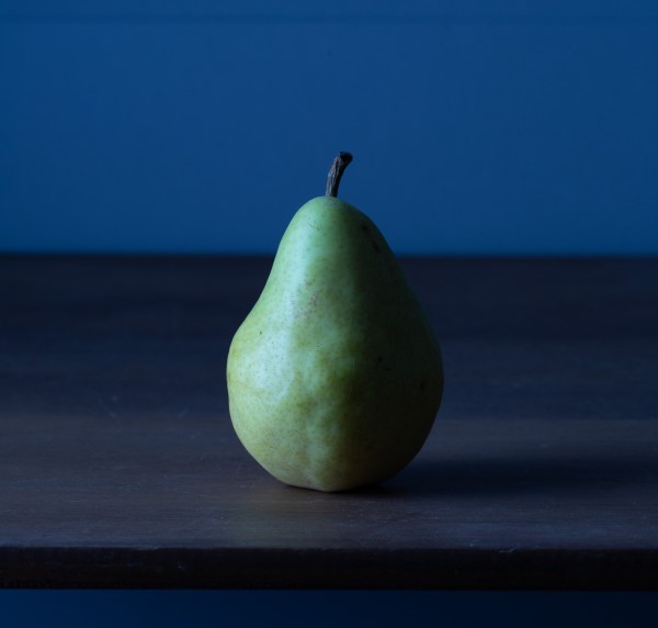 White Balance in Photography: The Essential Guide
