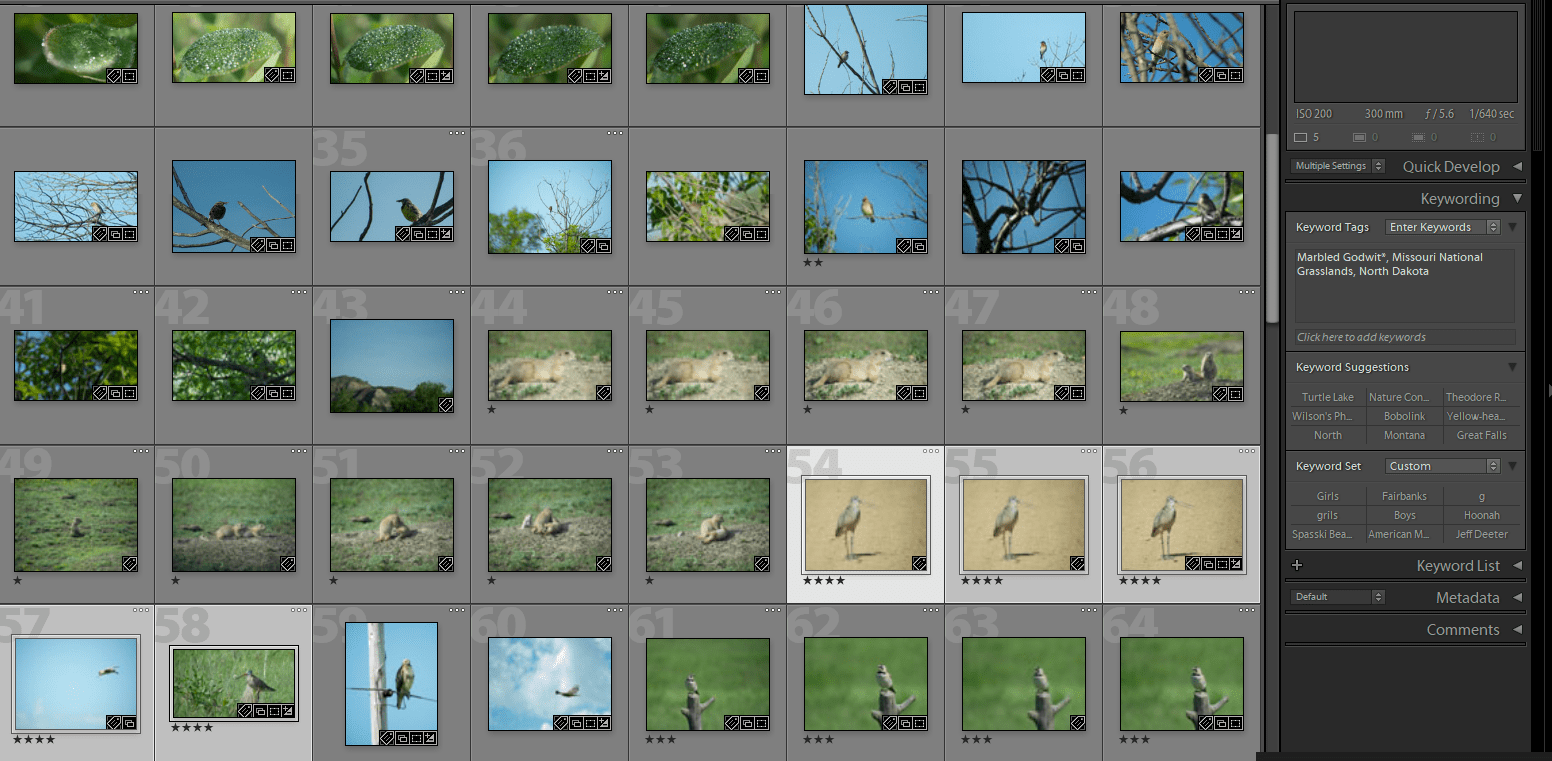 Lightroom, Stars, Workflow, Help