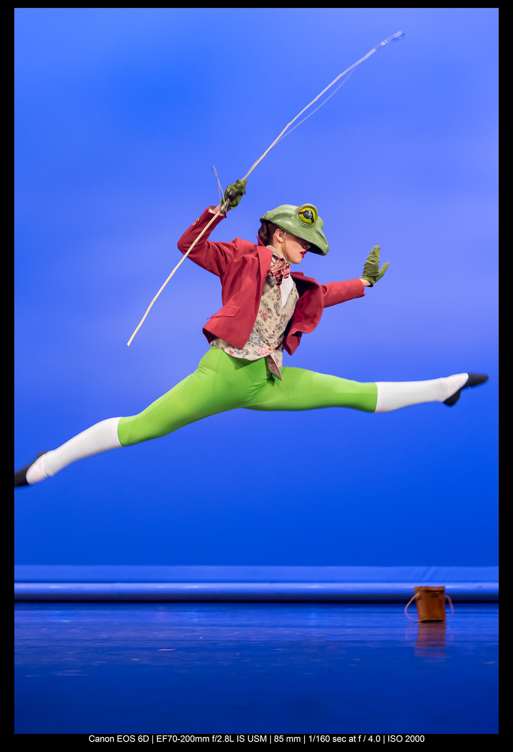 frog leaping through the air