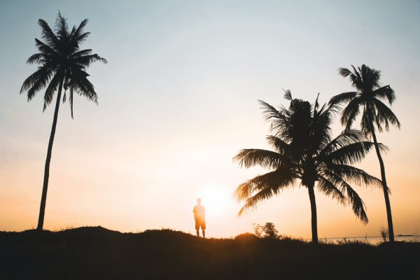 Silhouette Photography: The Ultimate Guide (+ 33 Tips)