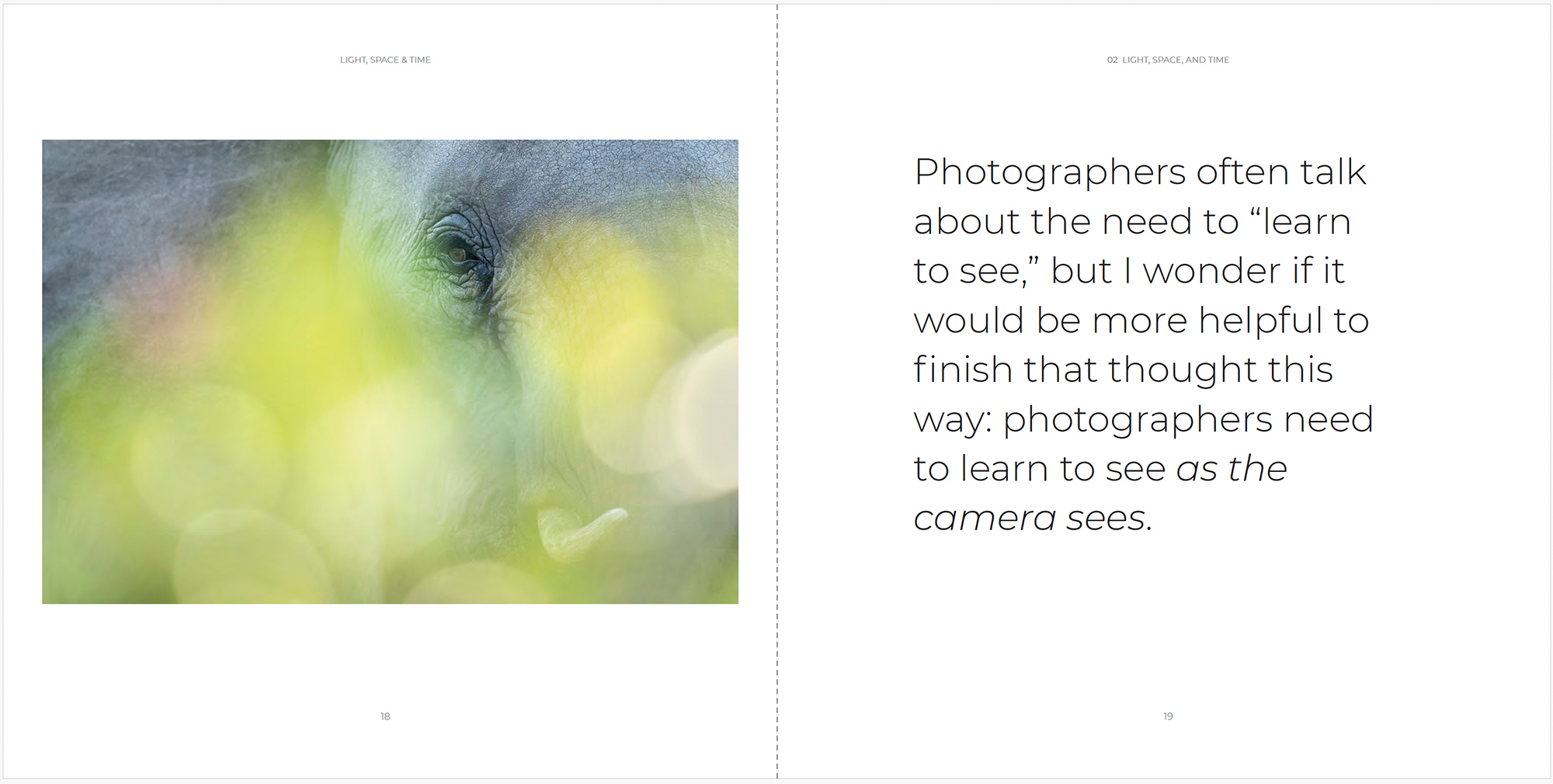 » Eye 4 Photography