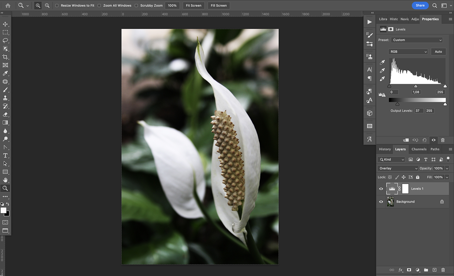 » Eye 4 Photography Overlay blend mode Photoshop