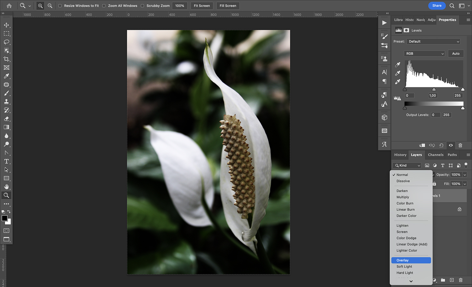 » Eye 4 Photography Overlay blend mode Photoshop