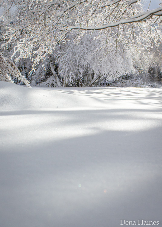 » Eye 4 Photography snow on a sunny day