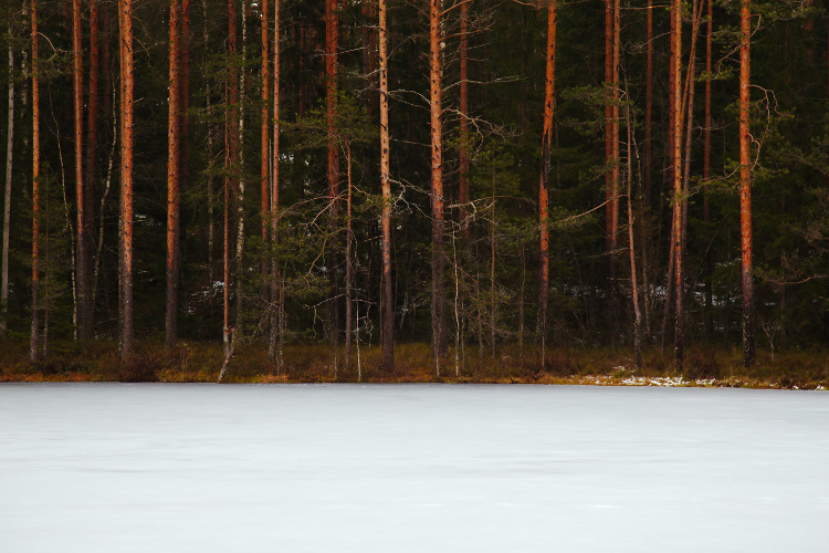 06-winter-photography-tips.jpg » Eye 4 Photography 06 winter photography tips