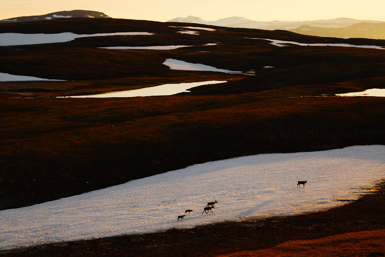 12-winter-photography-tips.jpg » Eye 4 Photography 12 winter photography tips