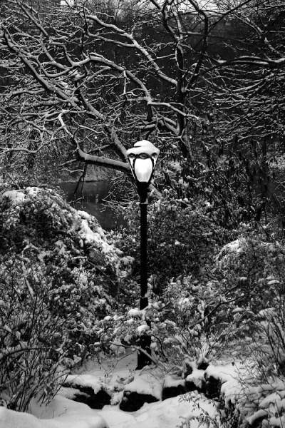 » Eye 4 Photography Lamppost at Dusk, Central Park