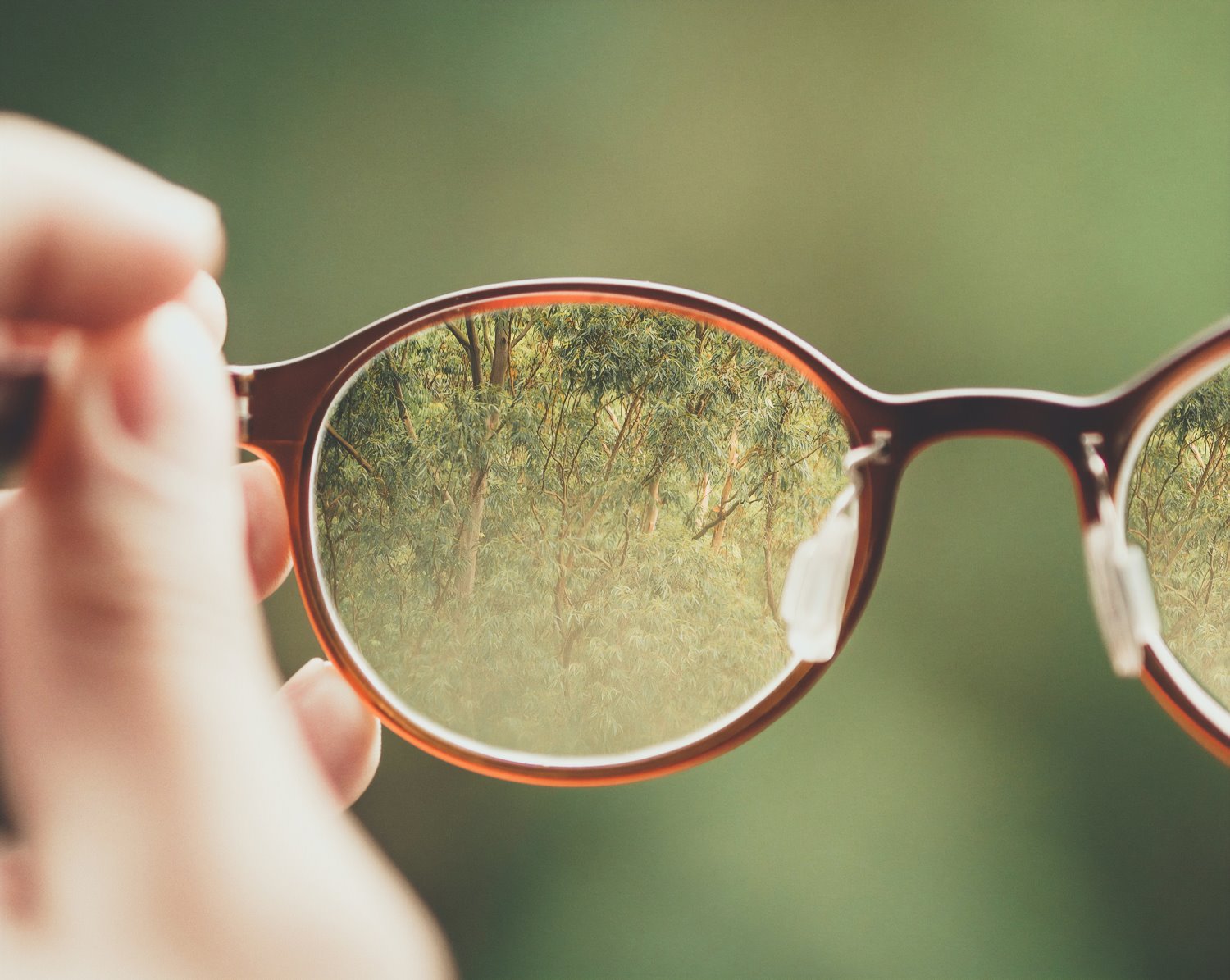 » Eye 4 Photography How to take sharp photos