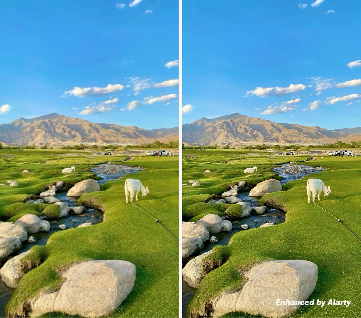 » Eye 4 Photography Aiarty before and after enhanced image of a goat by a stream