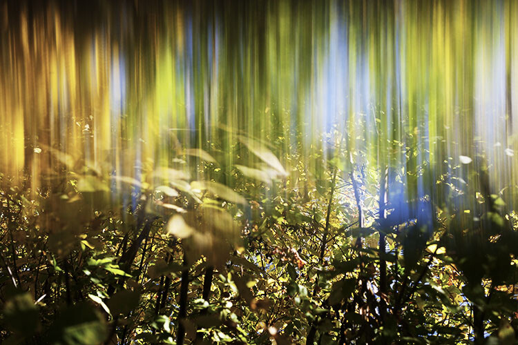 » Eye 4 Photography prism photography guide