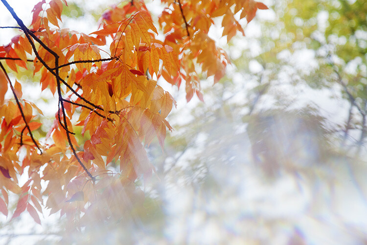 » Eye 4 Photography prism photography guide