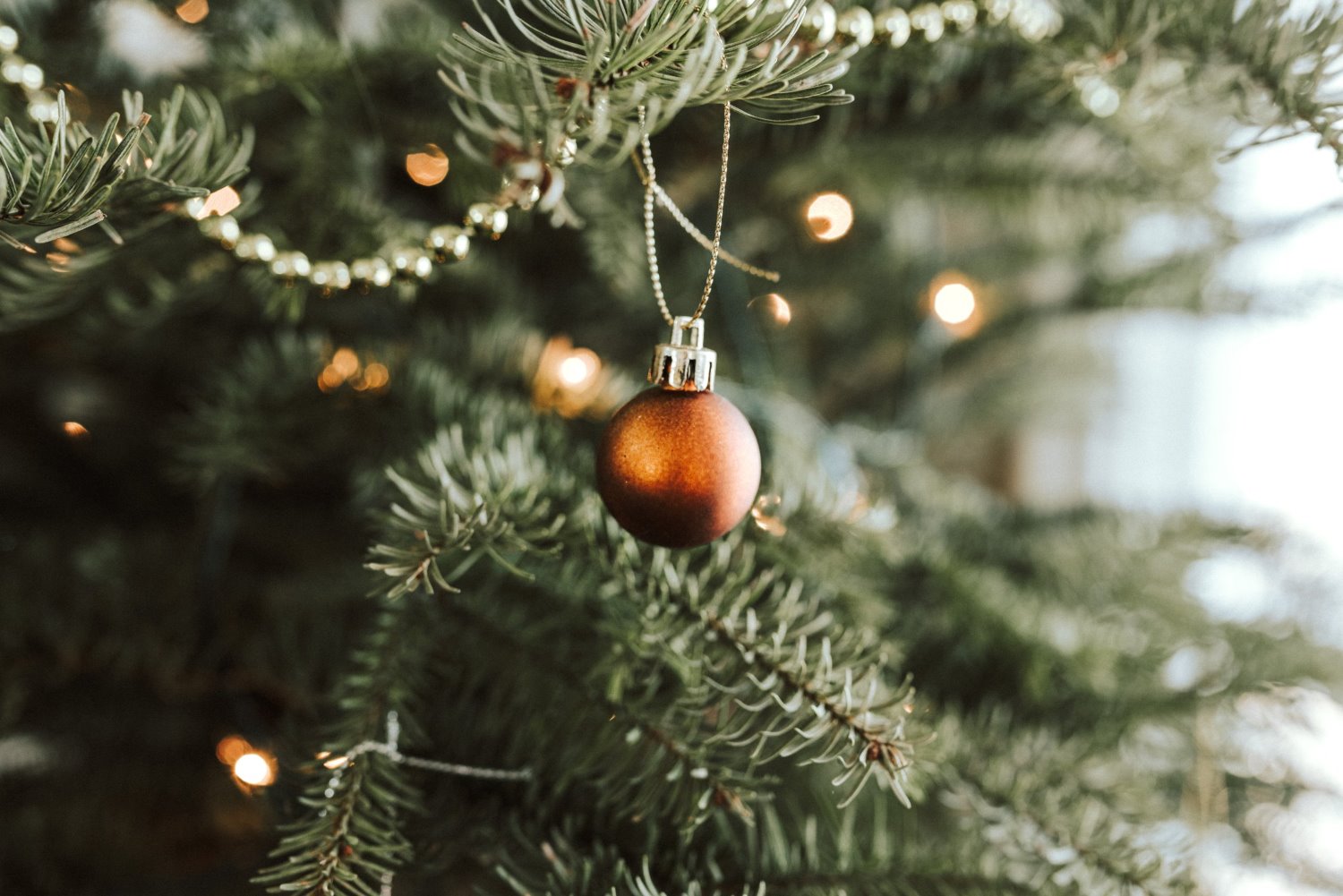 » Eye 4 Photography Christmas photography tips