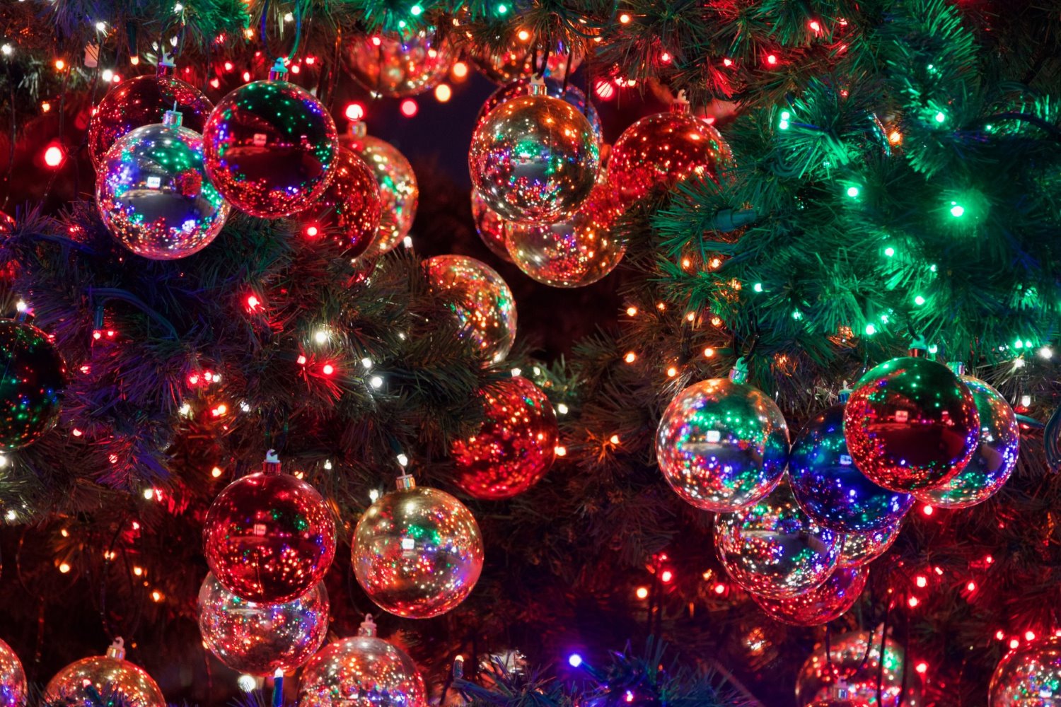 » Eye 4 Photography Christmas photography tips