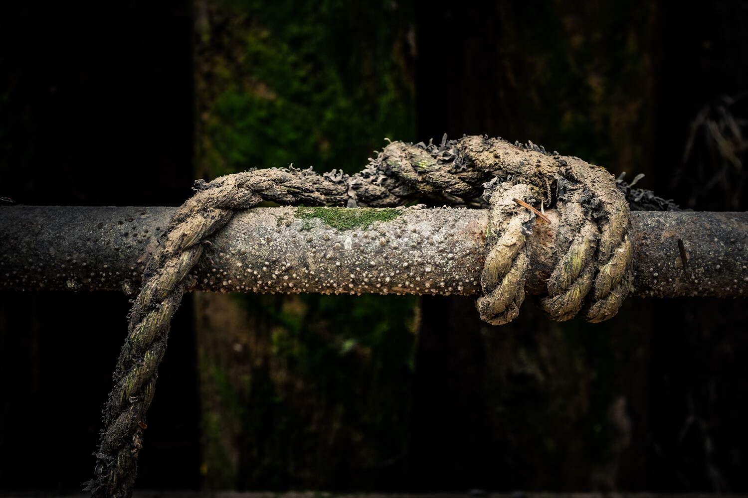 » Eye 4 Photography old rope on a metal pipe