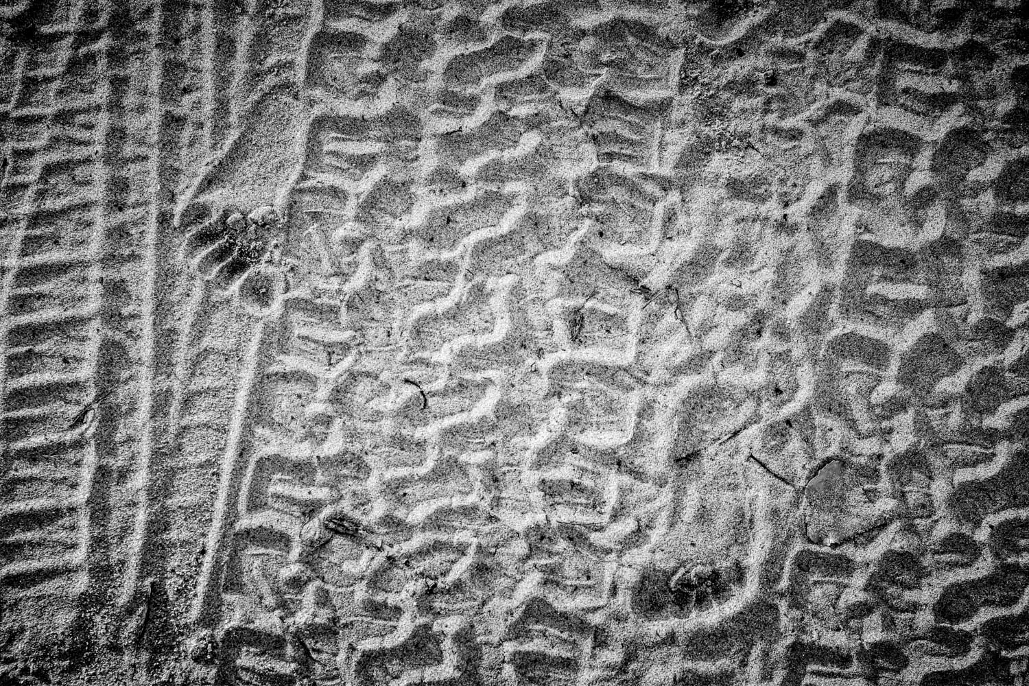 » Eye 4 Photography tracks in the sand photography ideas