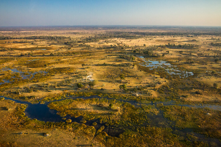 WILLCK_3_OKAVANGO_wide.jpg » Eye 4 Photography Wide-angle vs telephoto lenses