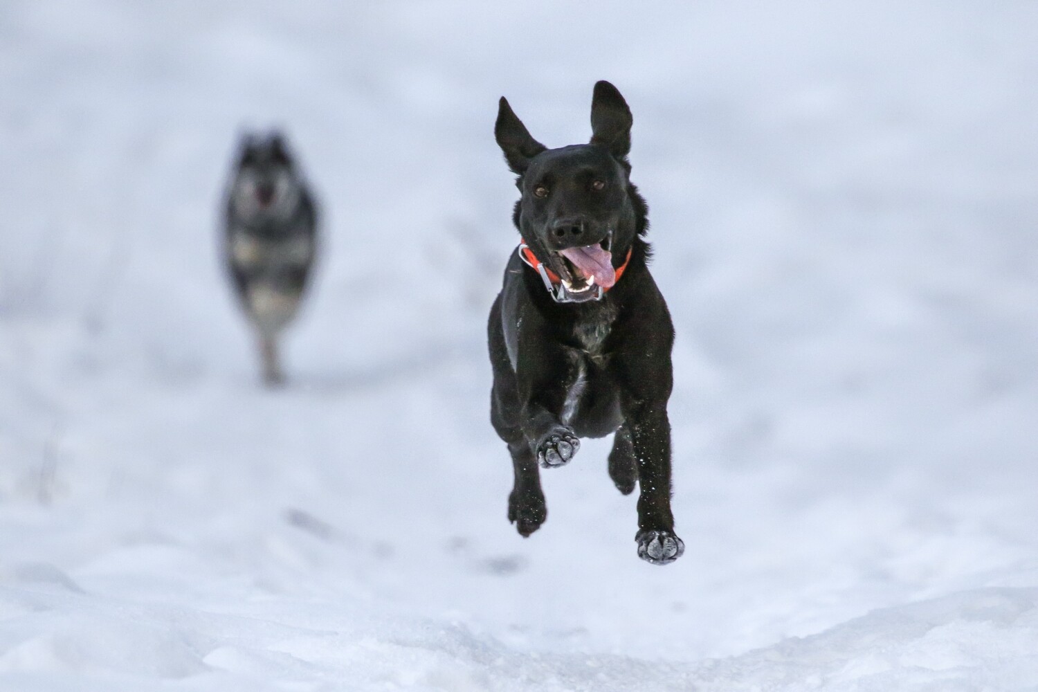 » Eye 4 Photography Burst mode photography