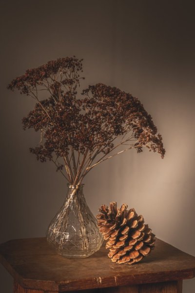» Eye 4 Photography Still life photography